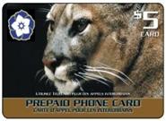 $5 card
